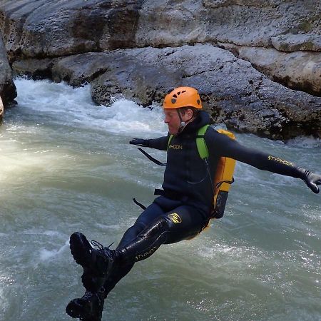 L' Oliveraie De Plerimond Aups Dış mekan fotoğraf