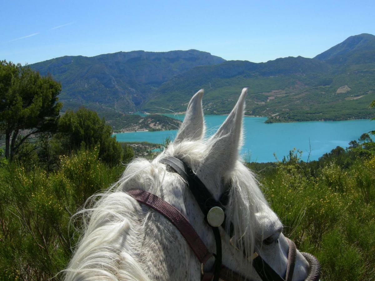 L' Oliveraie De Plerimond Aups Dış mekan fotoğraf