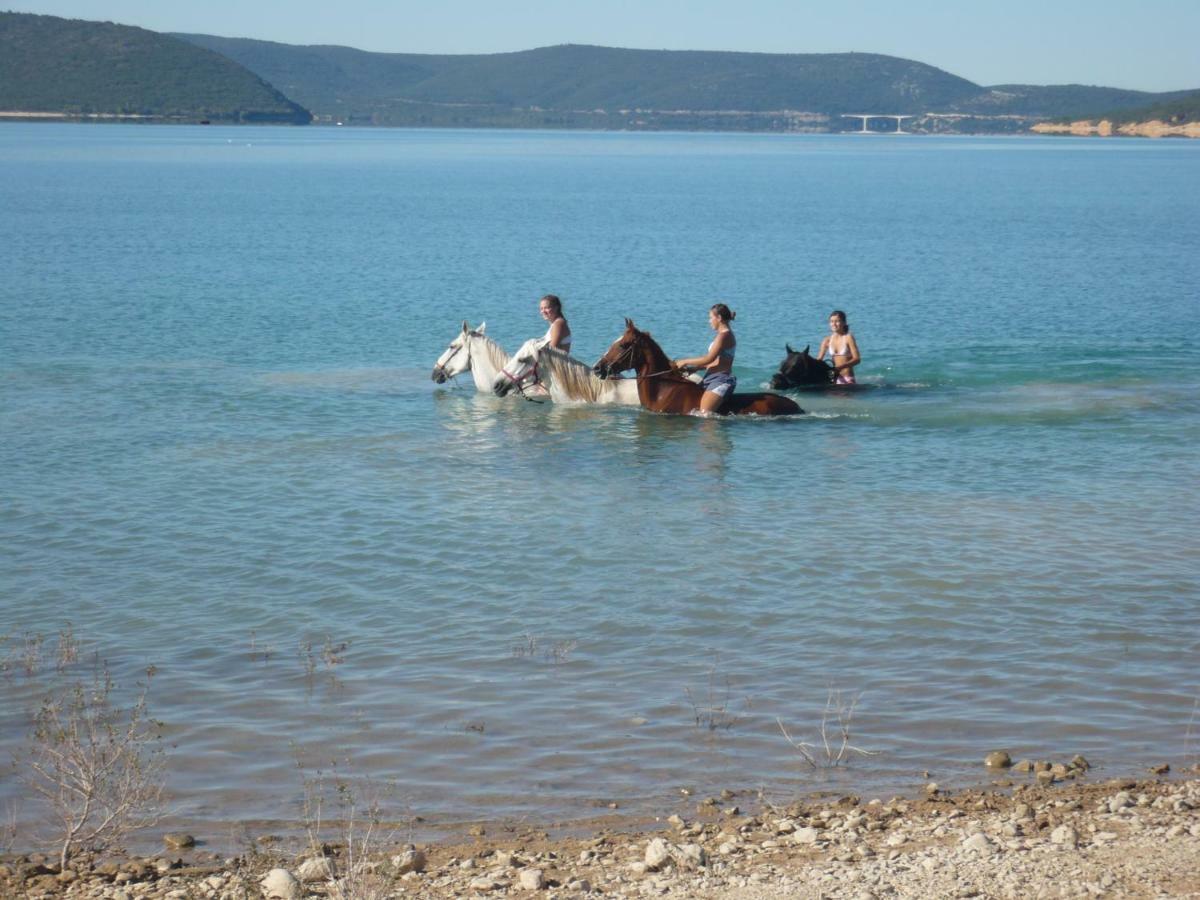 L' Oliveraie De Plerimond Aups Dış mekan fotoğraf